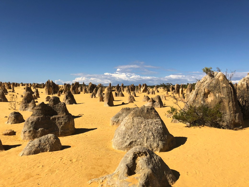 Pinnacles1