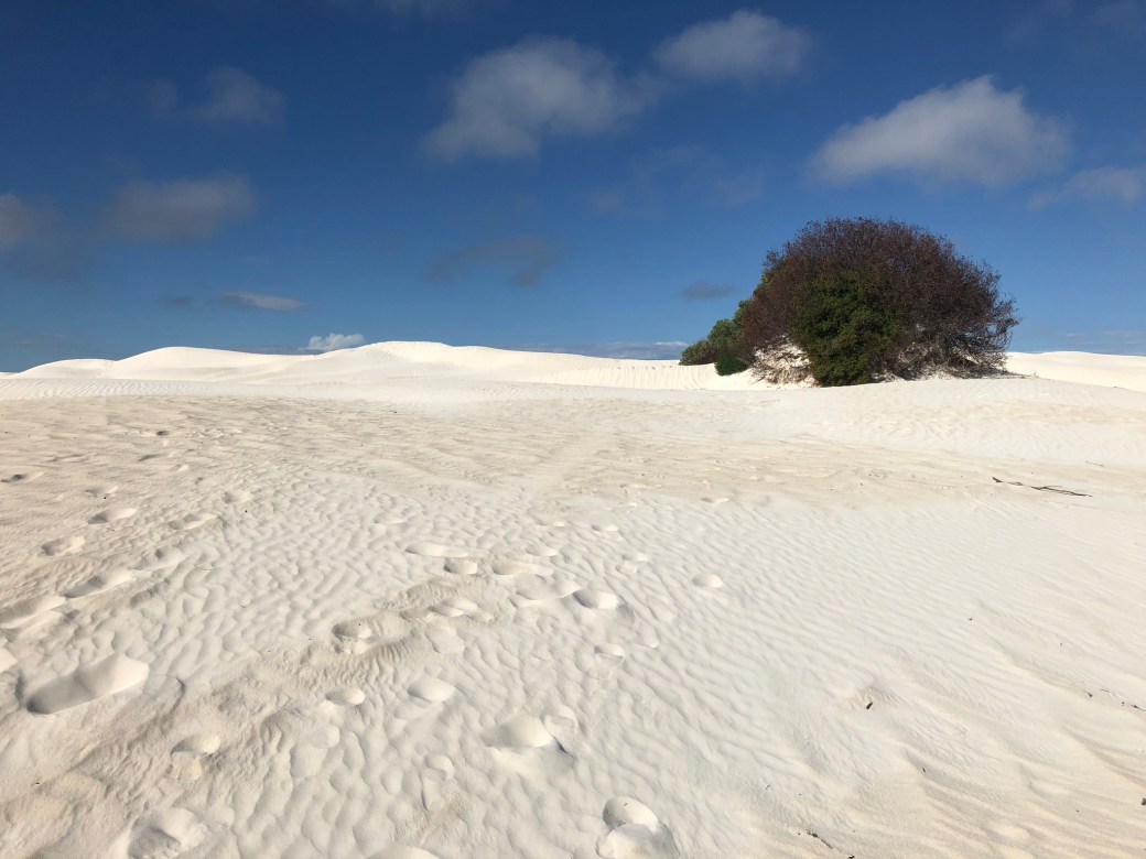 white sand1