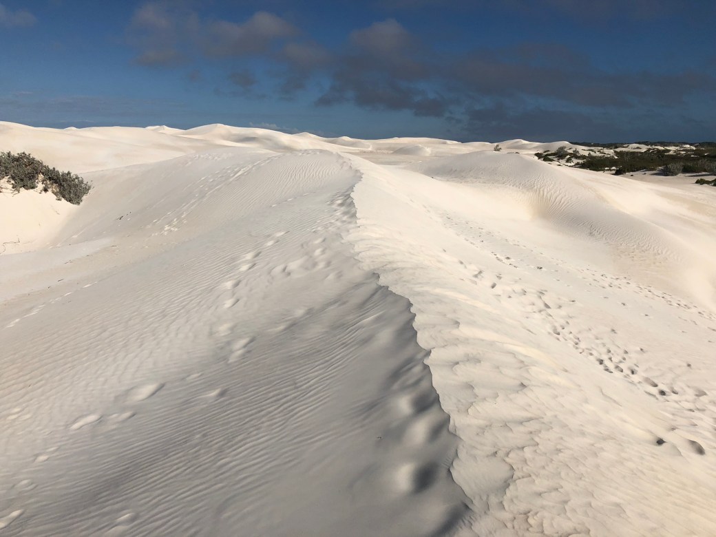 white sand2